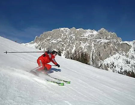 호텔 Gasthof-pension Golob 3*