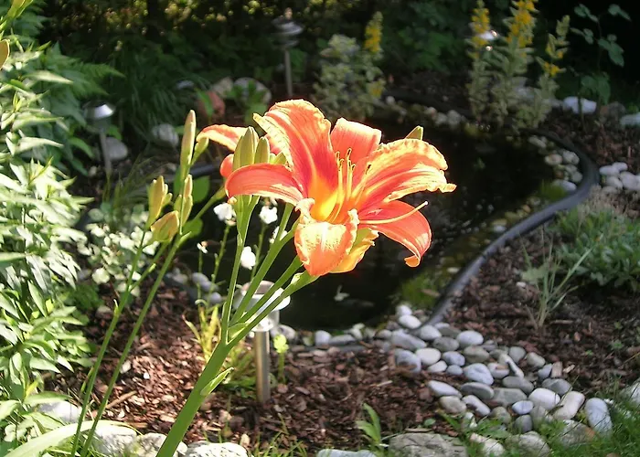 Gasthof-pension Golob Szálloda